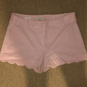 Ann Taylor Loft Seersucker Scalloped Shorts